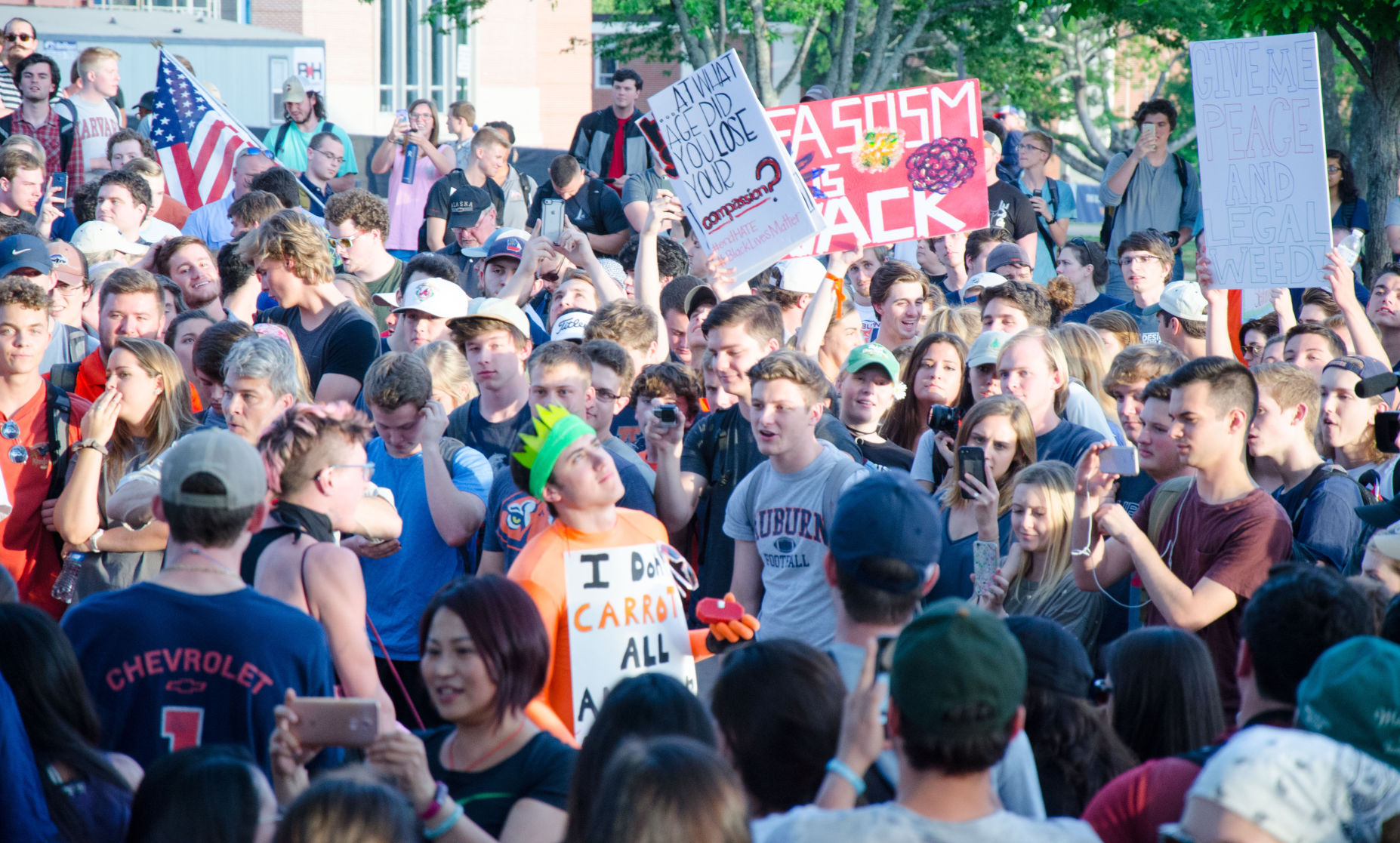 Protestors